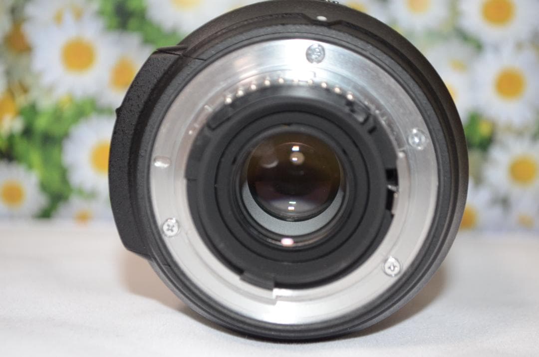 完動品❤ニコン❤Nikon AF-S DX 18-200㎜ ❤Ⅱ型 遠近両用❤