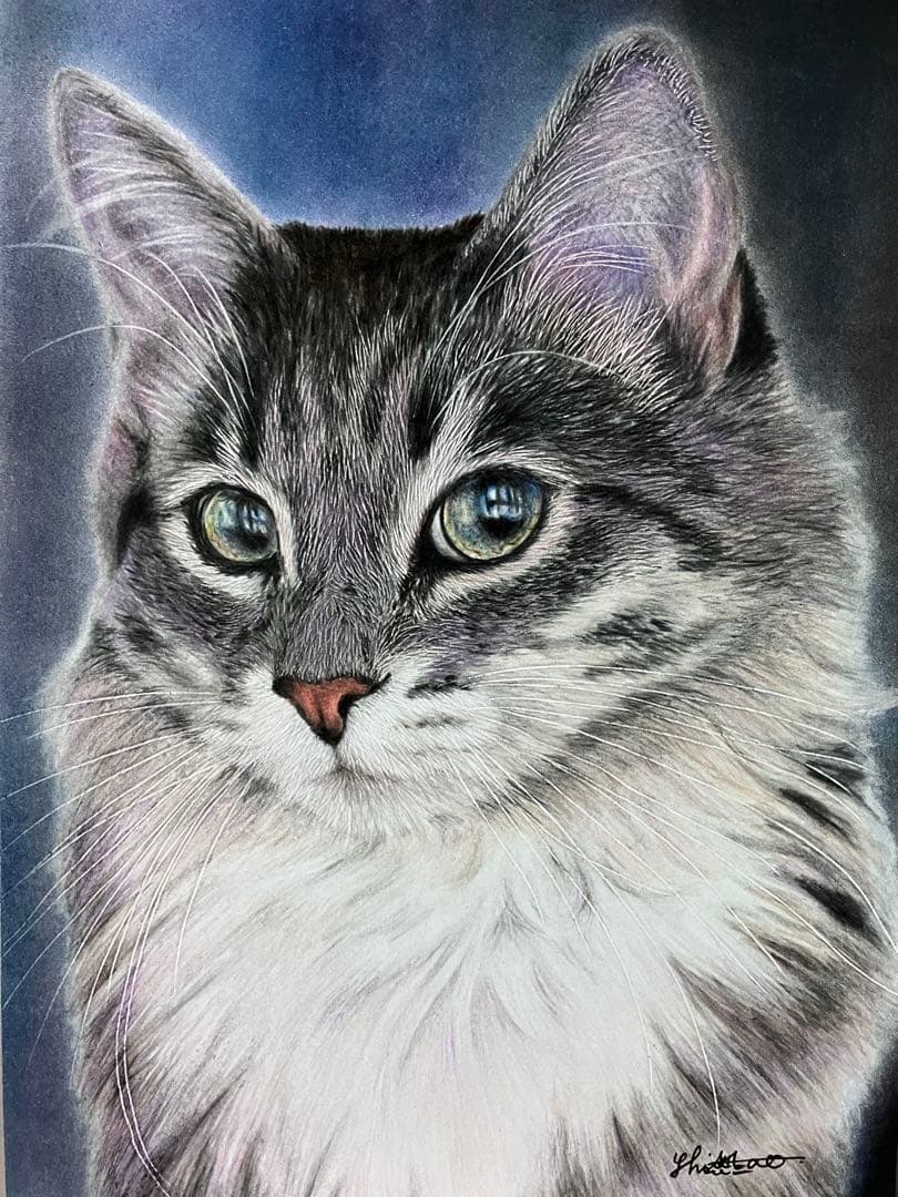 気高き猫 色鉛筆画 パステル