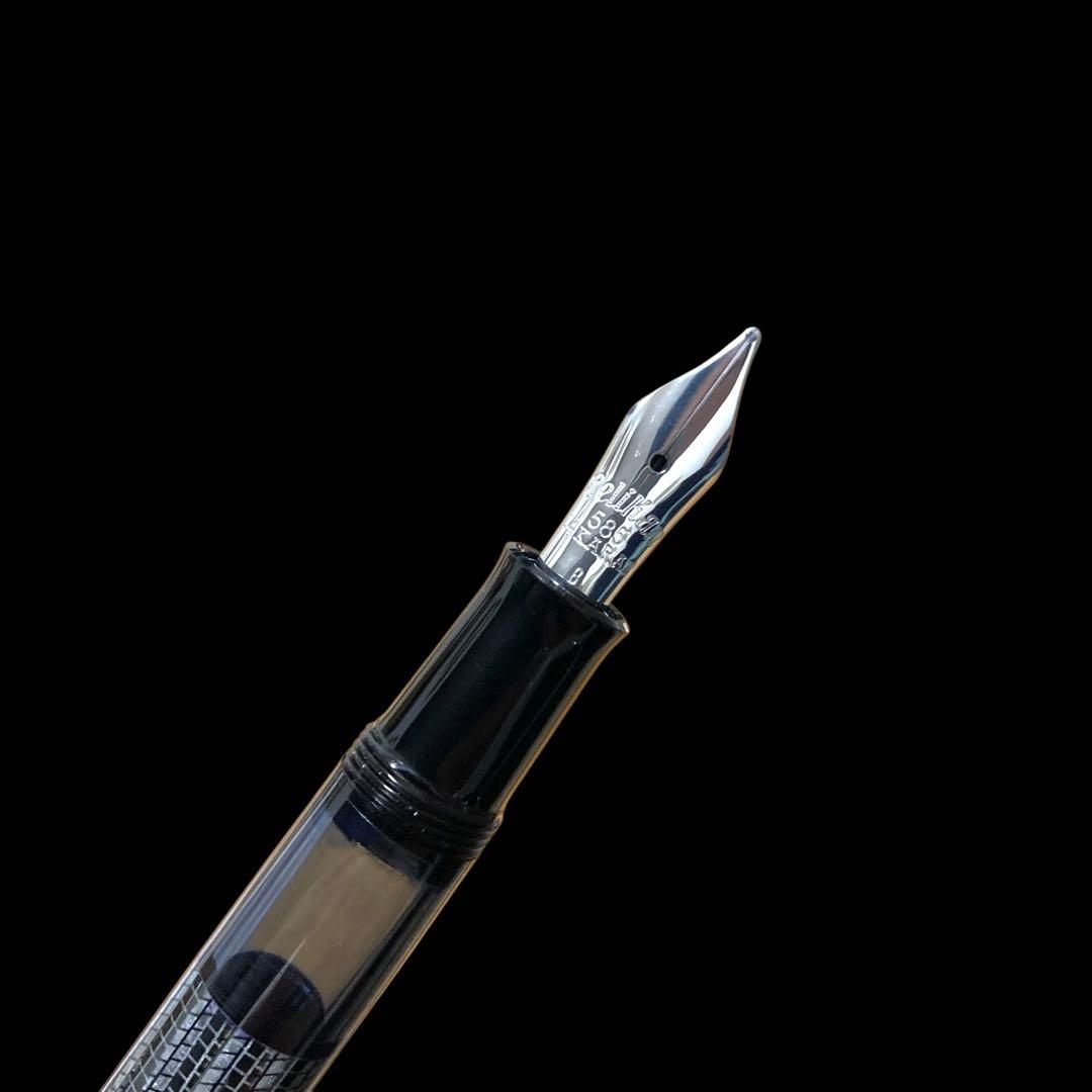 希少【付属品多数/国内限定800本】ペリカン M101N リザード 万年筆