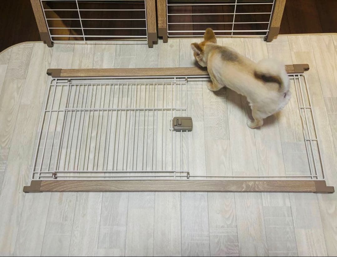 【アイリスオーヤマ】小型犬用ケージ/スライド扉付き/組立簡単