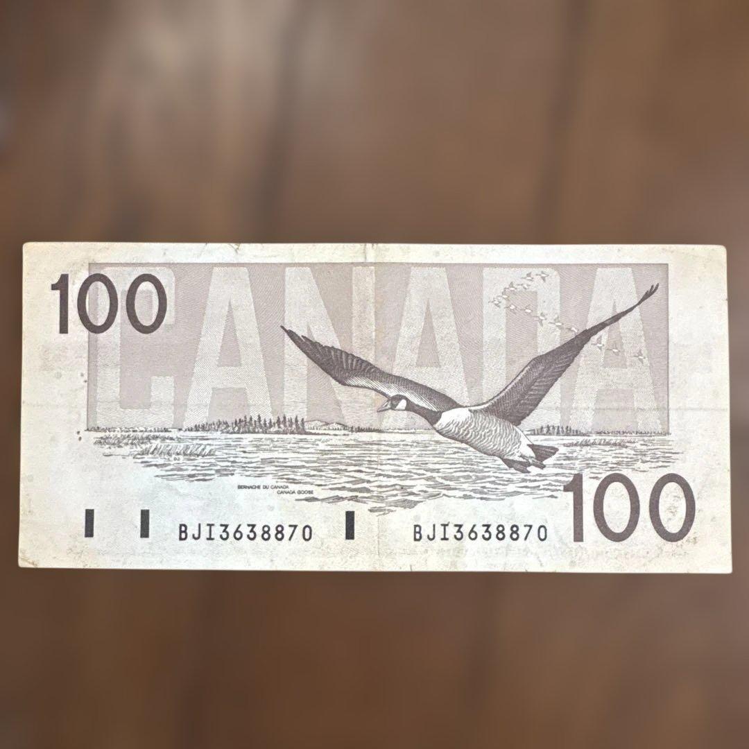 カナダ　$100 一枚