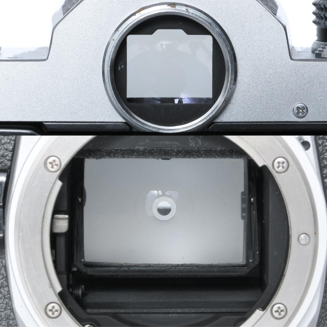 フィルムカメラ Nikon FM / Ai NIKKOR 50mm F1.8