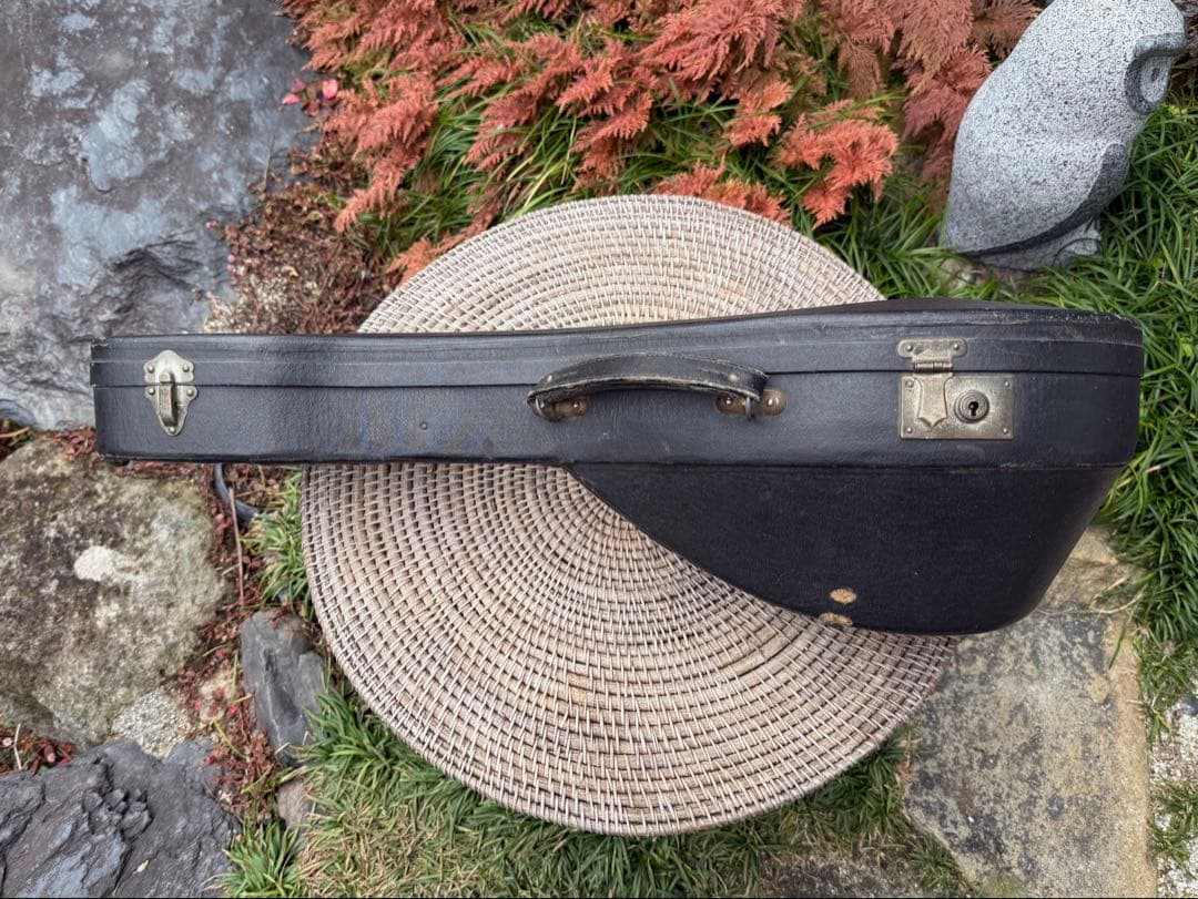 美しいイタリアのマンドリン1915年製G. Puglisi Neapolitan