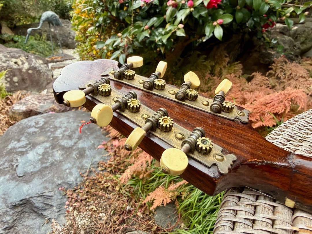 美しいイタリアのマンドリン1915年製G. Puglisi Neapolitan