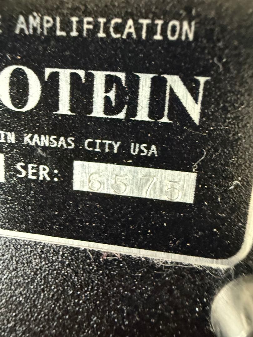 ギター Browne Amplification Protein V3