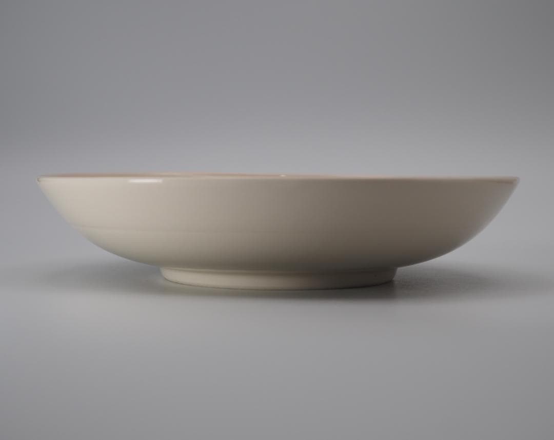 清風与平 瑍白磁 浮文釉下彩 皿 10枚 共箱