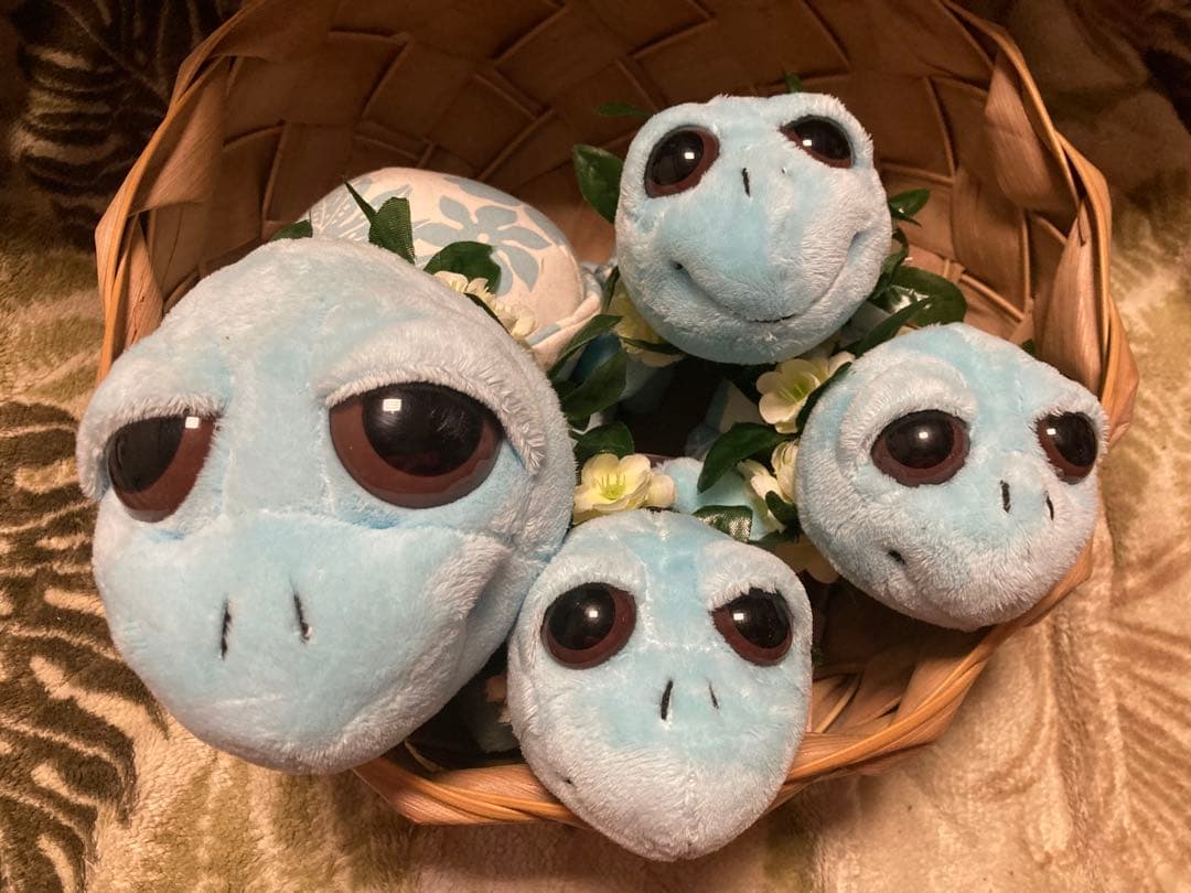 ハワイ ホヌ ぬいぐるみ セット モアナサーフライダー セット ウミガメ