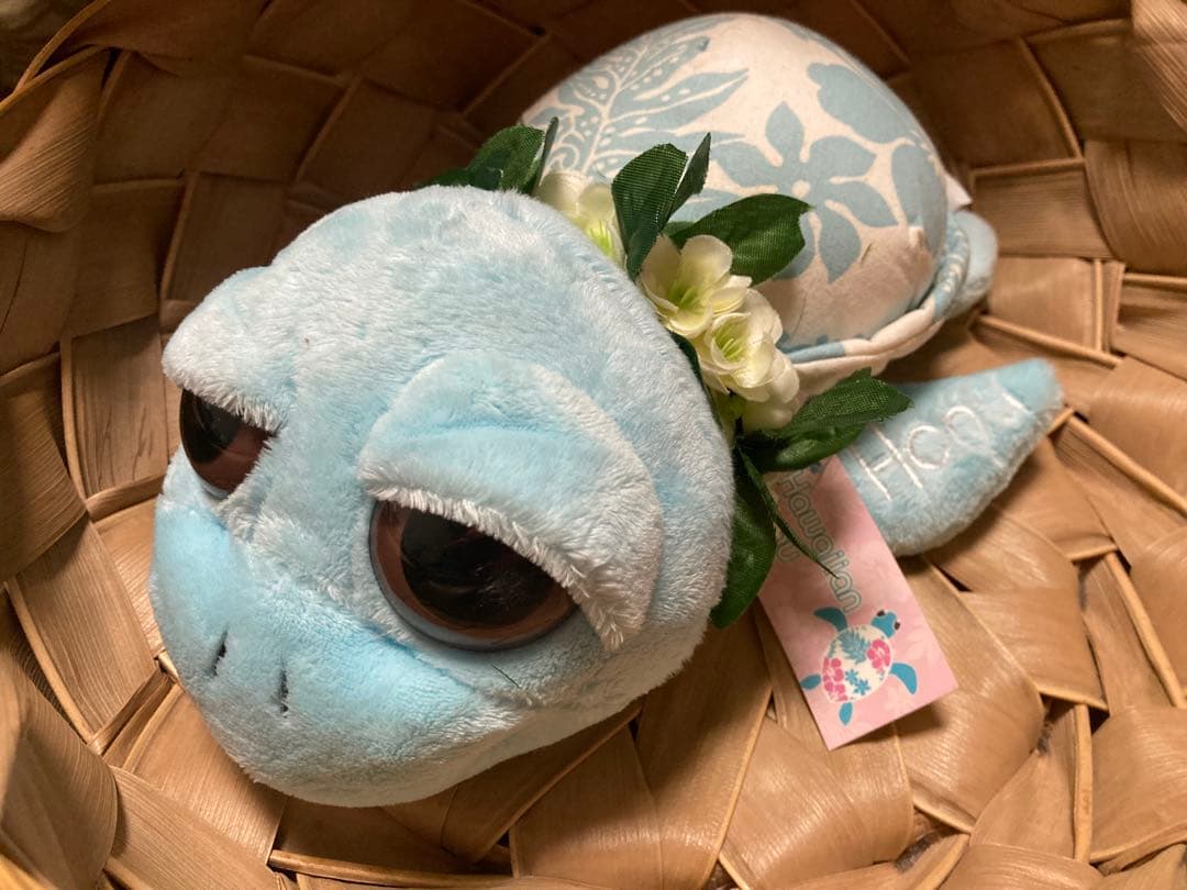 ハワイ ホヌ ぬいぐるみ セット モアナサーフライダー セット ウミガメ