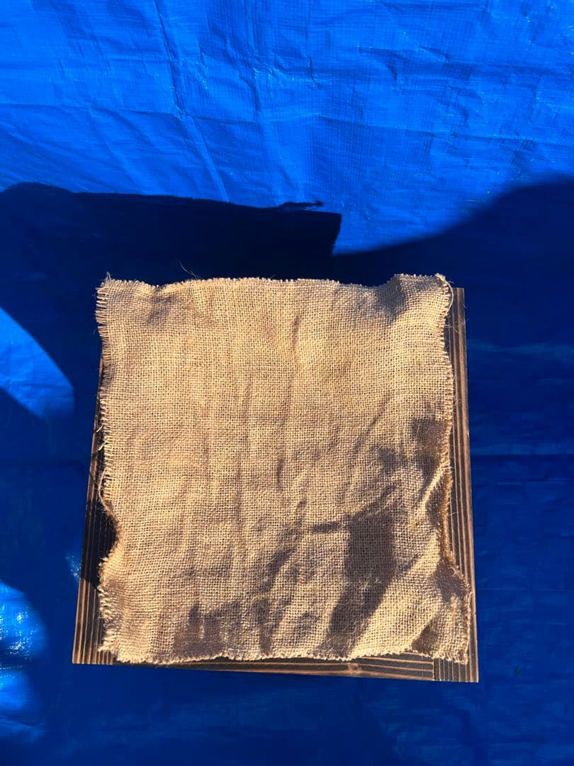 ニホンミツバチ　重箱式巣箱　営巣用巣箱2段　板厚3cm