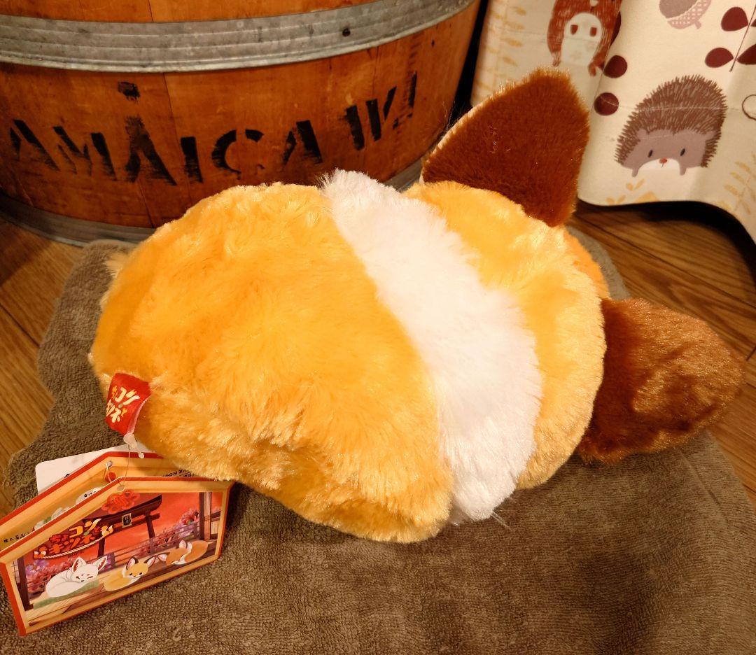 ちょコンとキツネ くるんとおねむ きなこ JB