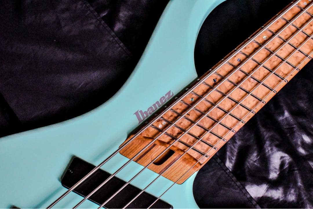 【美品】IBANEZ EHB1005MS-SFM ベース