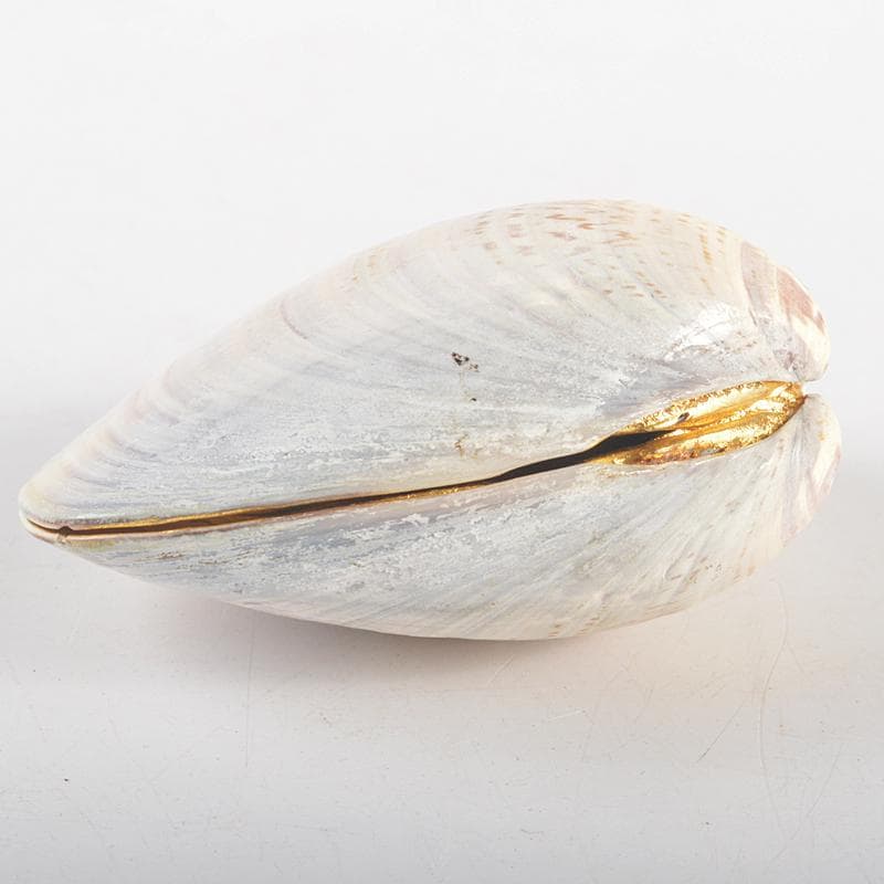 茶道具　塗師　中村宗哲作　老松蒔絵　蛤香合　裏千家十五代鵬雲斎極箱　MR5268