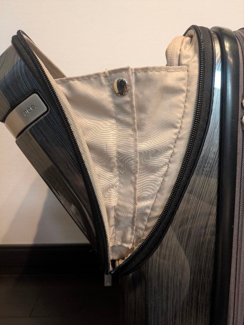 ACE　パリセイドZ　1〜3泊　36リットル　機内持ち込み　キャリーケース