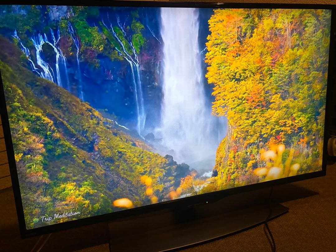 シャープ 40V型 4K液晶テレビ AQUOS 4T-C40BJ1 動画アプリ○