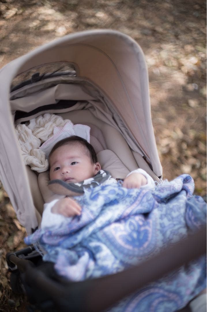 【付属品あり】Leica ズミルックス Summilux 50mm 1st 前期