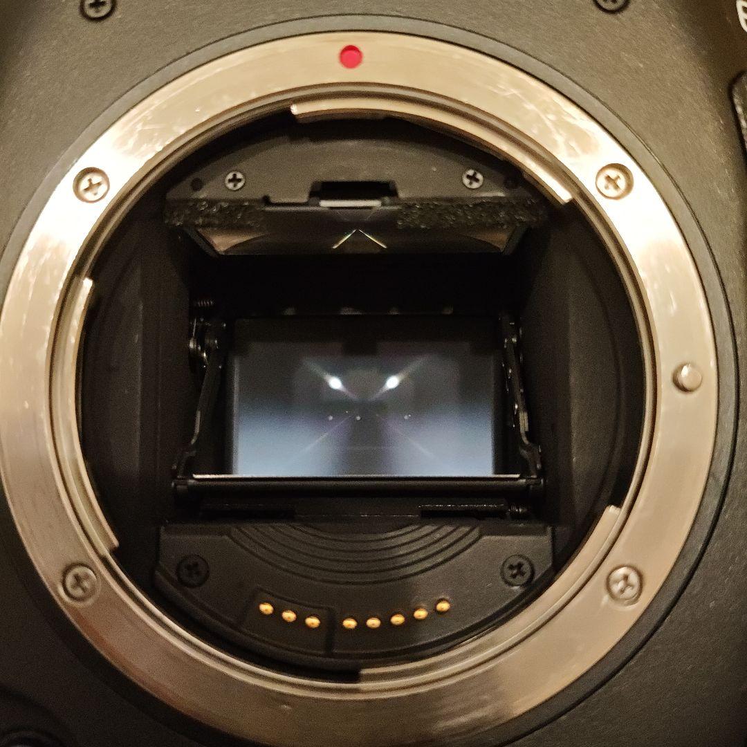 Canon EOS-1D X 本体 バッテリーCFカード2個付