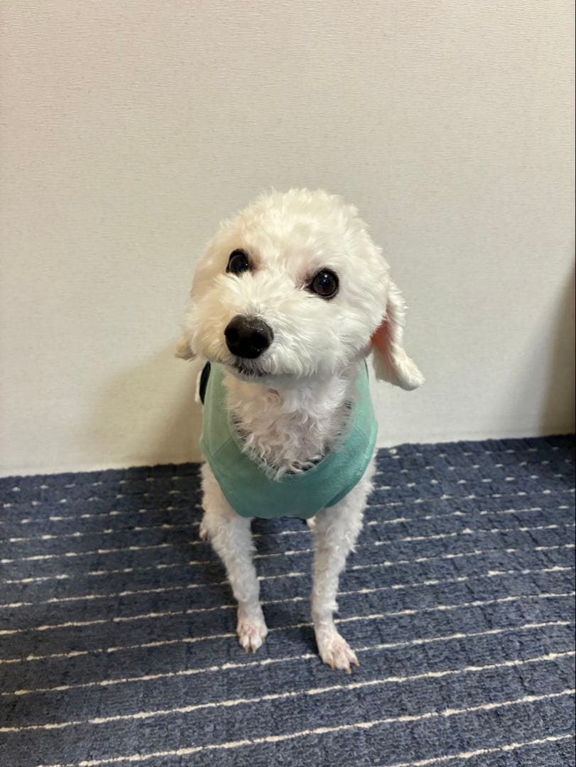 リリーさま専用