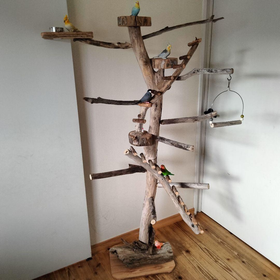 バードアスレチックジム大型 ㊹ 天然木 自然木 流木 止まり木 インコ オウム