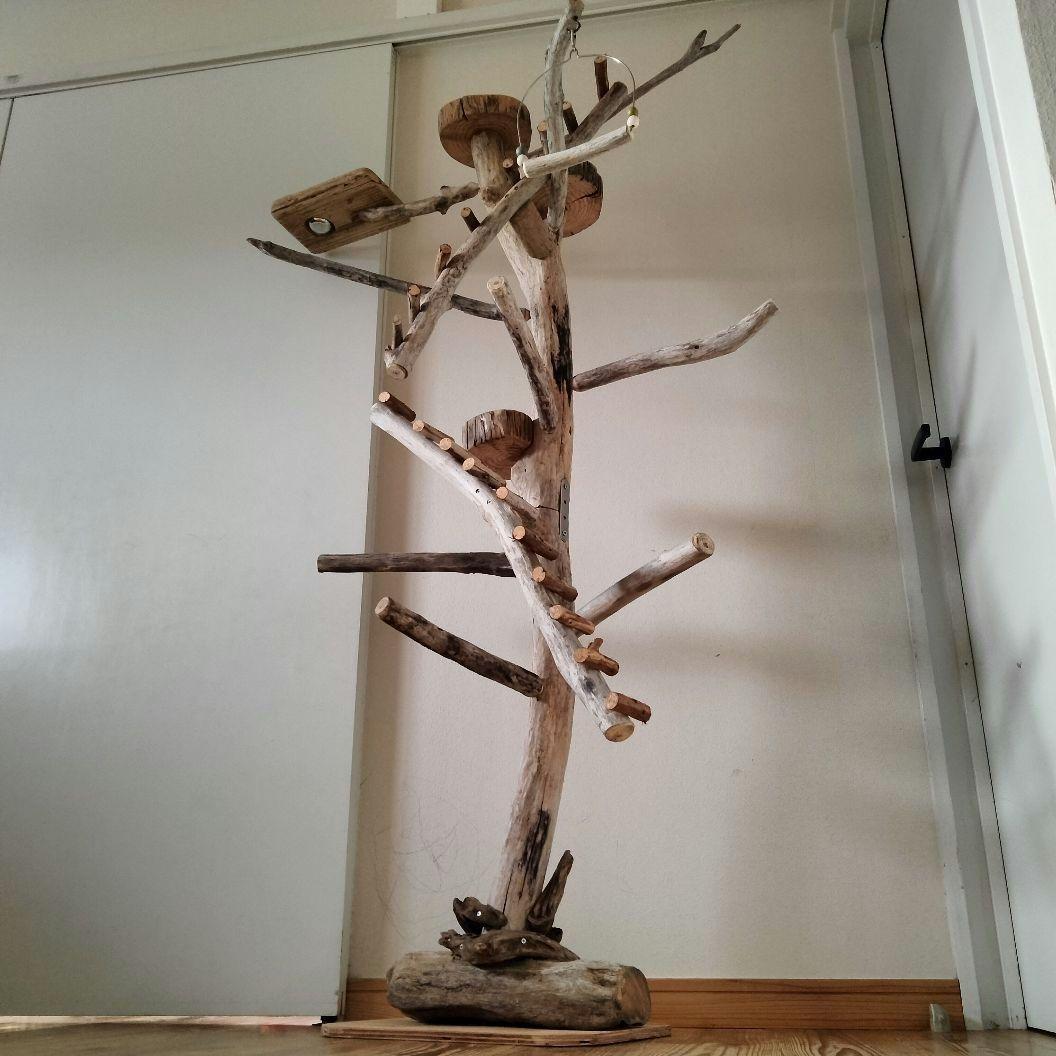 バードアスレチックジム大型 ㊹ 天然木 自然木 流木 止まり木 インコ オウム