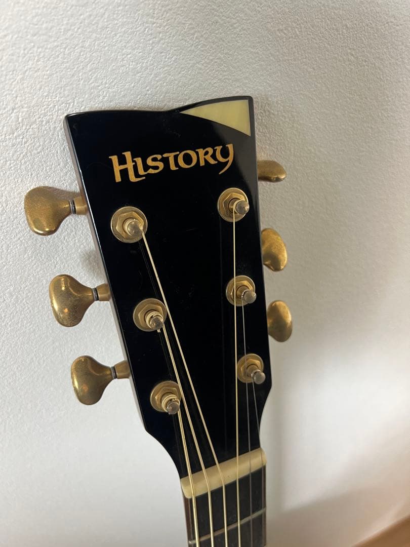 HISTORY アコースティックギター　NT101