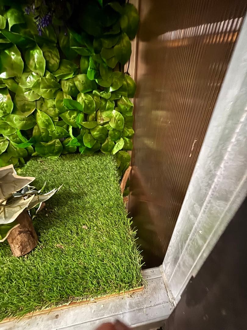 大型爬虫類　中古自作飼育ケージ　運搬可能エリア有り