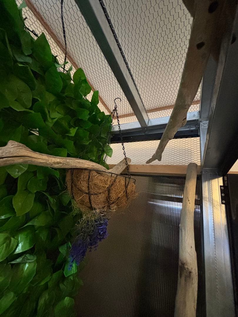 大型爬虫類　中古自作飼育ケージ　運搬可能エリア有り