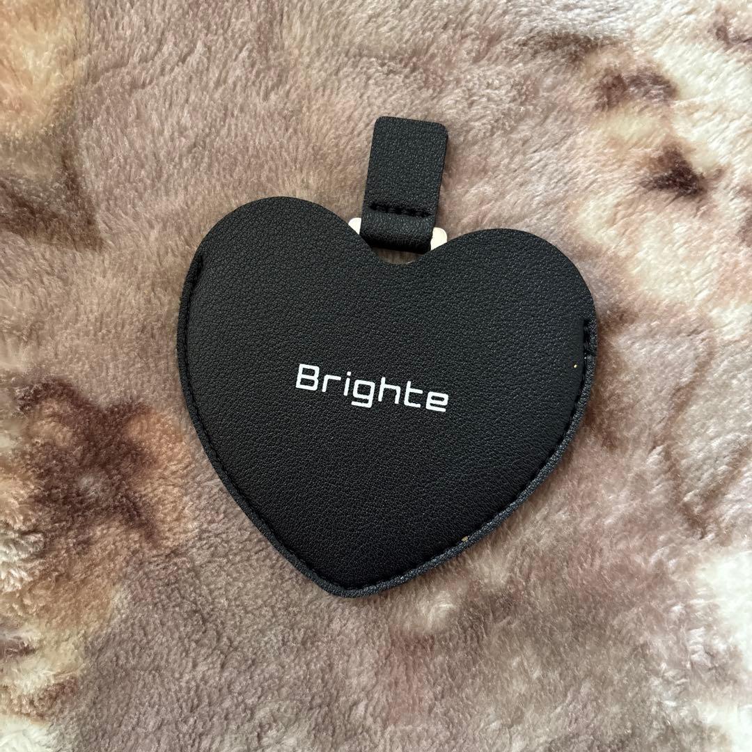 大晦日、元旦特別価格‼️Brighte SHOWER DRYER スタンド付き