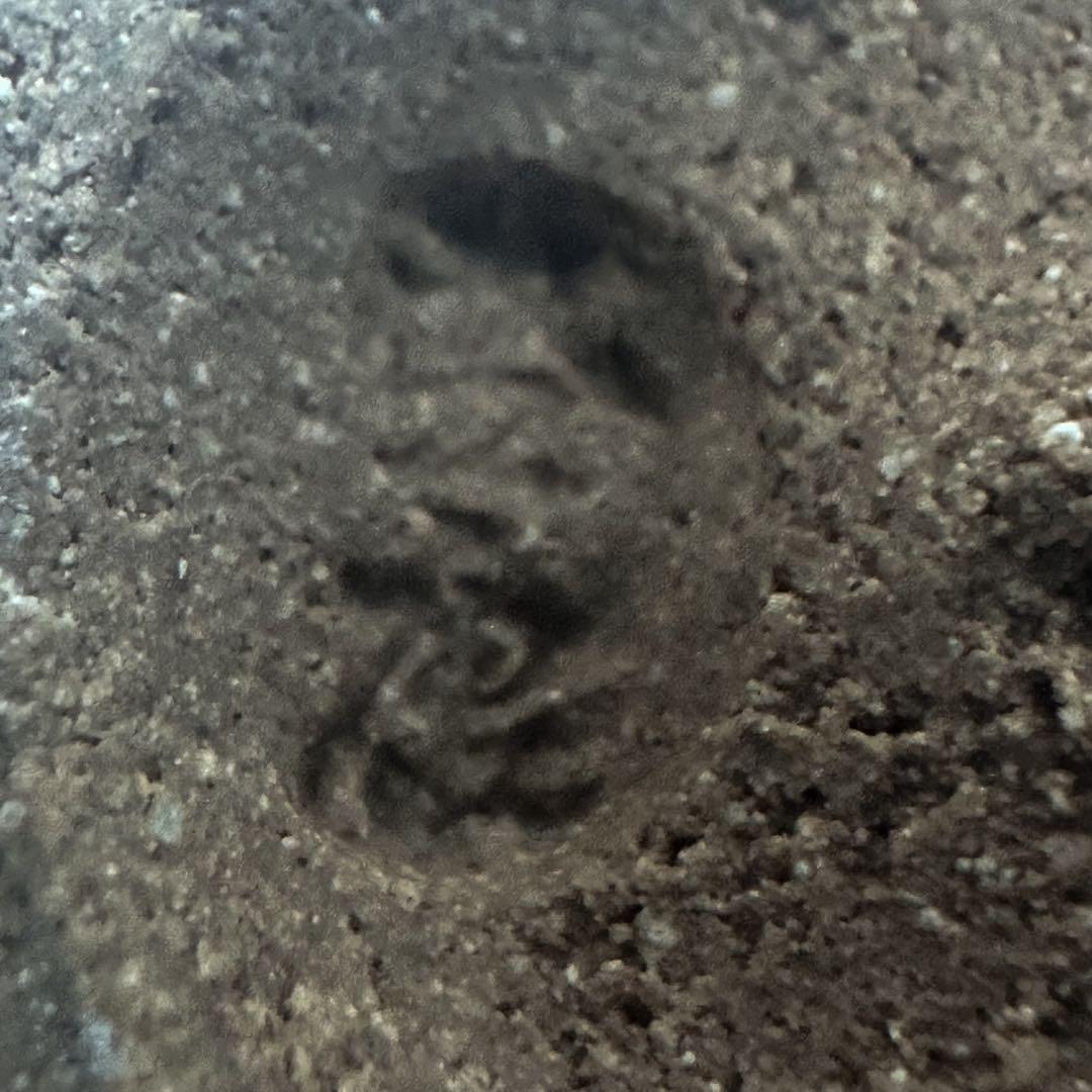 木村盛康 天目釉 ぐい呑 共箱 共布付き