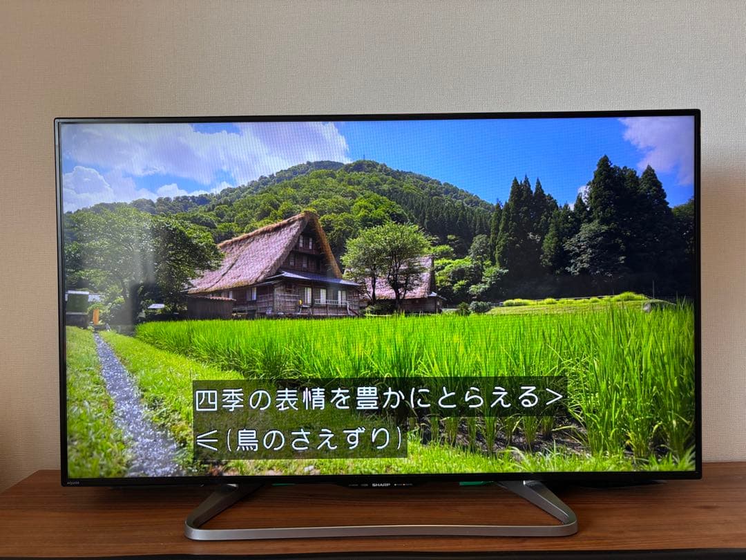 動作品 SHARP50インチ 液晶テレビ AQUOS ネット動画視聴可