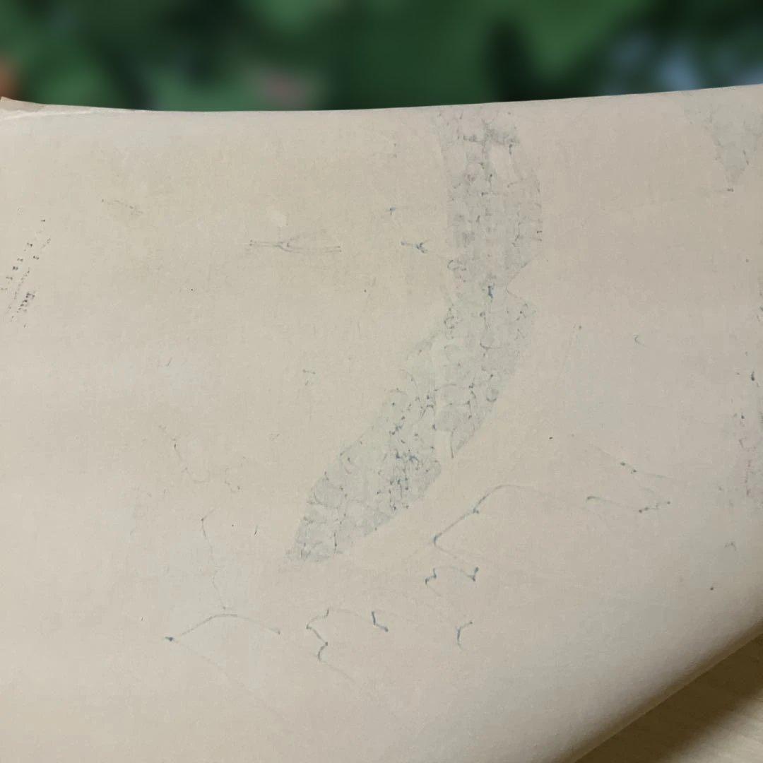 バリ島　ウブドの絵画　森と花鳥