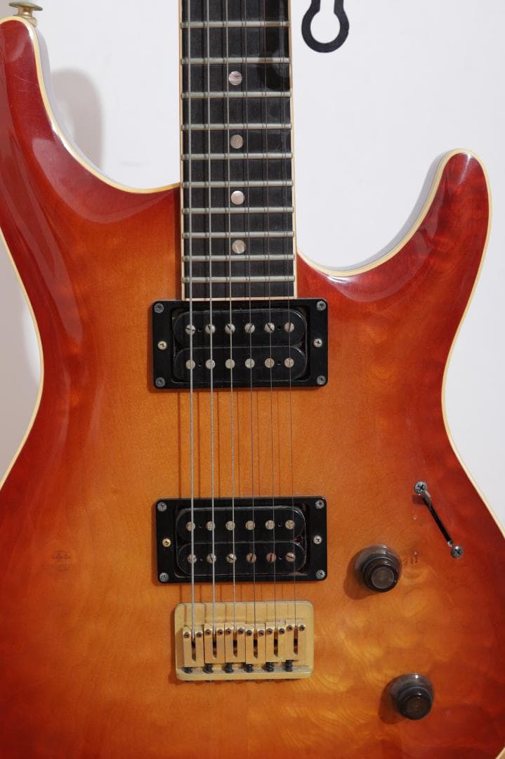 HeartField ELAN EL-I（専用ソフトケース付き）