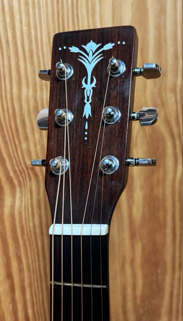 【エレアコ化・ライブ仕様】Aria ADW-200BS 低弦高2.5mm