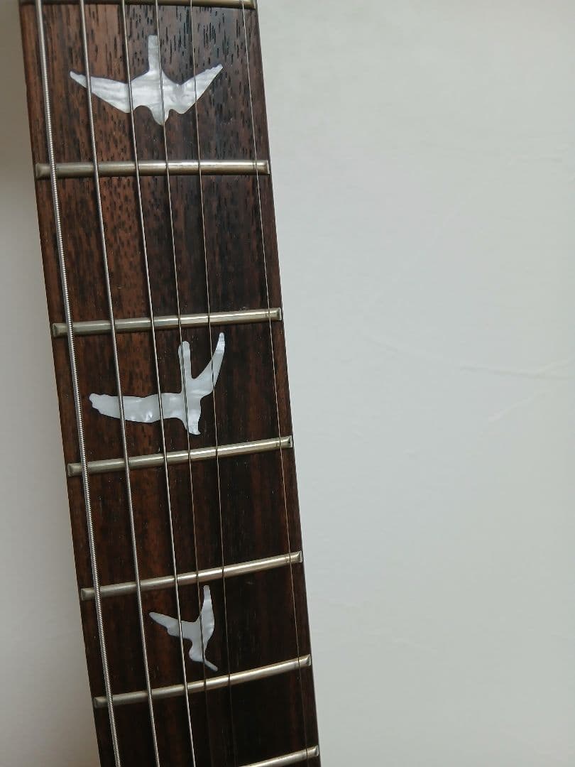 PRS　SE Custom 24 エレキギター グリーン