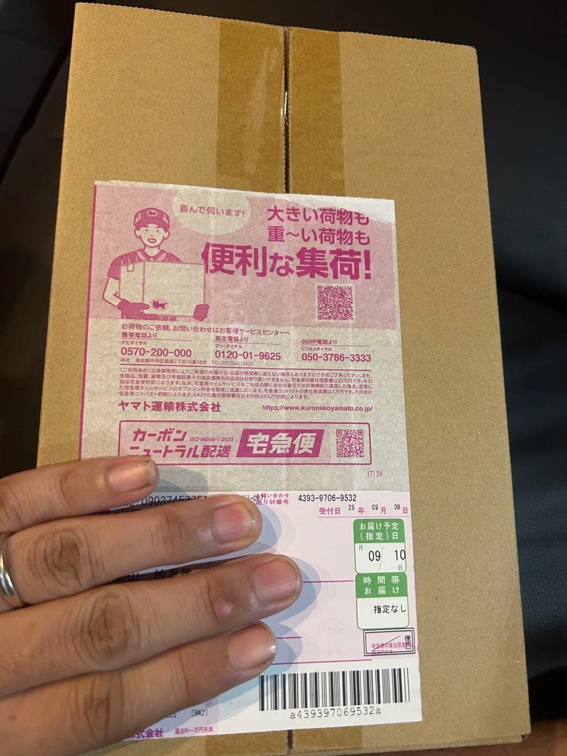 (未開封品)ポケモンセンター　ヒロシマ スペシャルBOX 2BOX