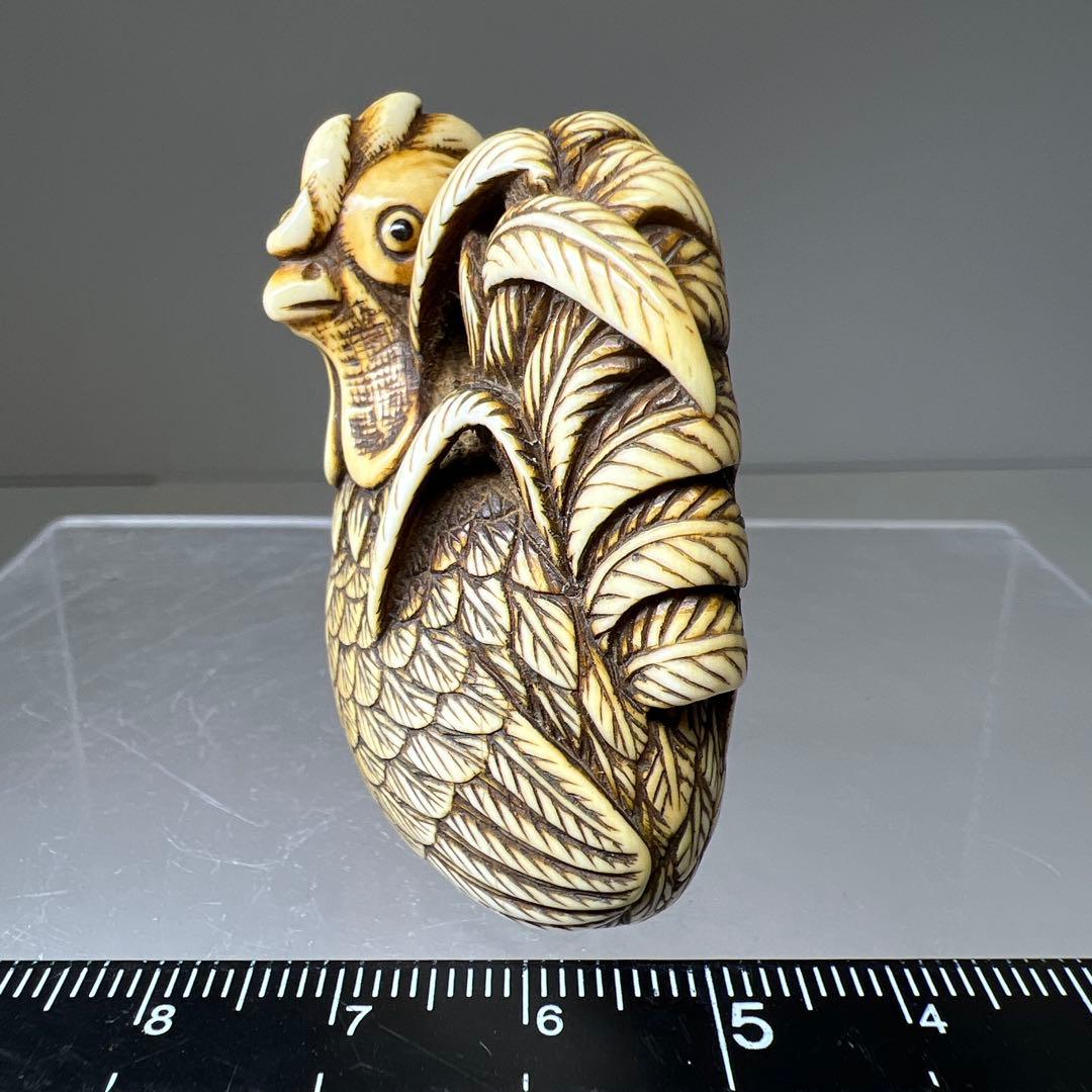 極上　正直銘　鶏根付　36g 東Y8-0113☆2F