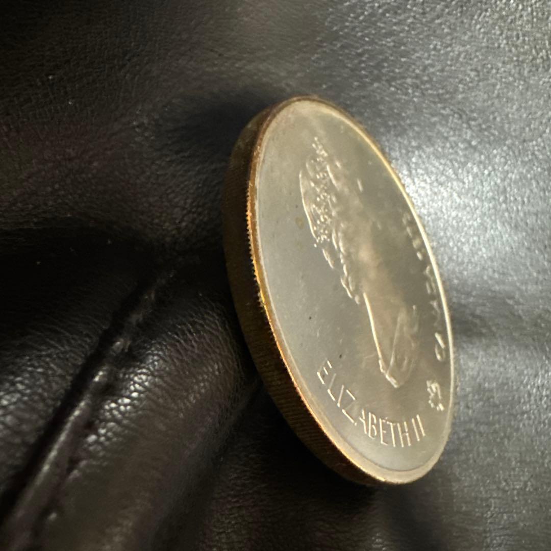 カナダ　モントリオール五輪記念　10ドル大型銀貨