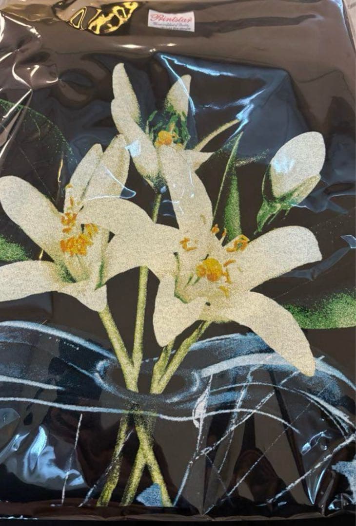 TENBLANKコラボ SAINT Mxxxxx Tシャツ