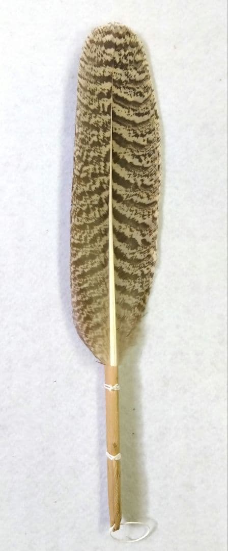 茶道具 羽箒 孔雀 くじゃく 左羽 炉用 新品 炭手前 炭道具 貴重