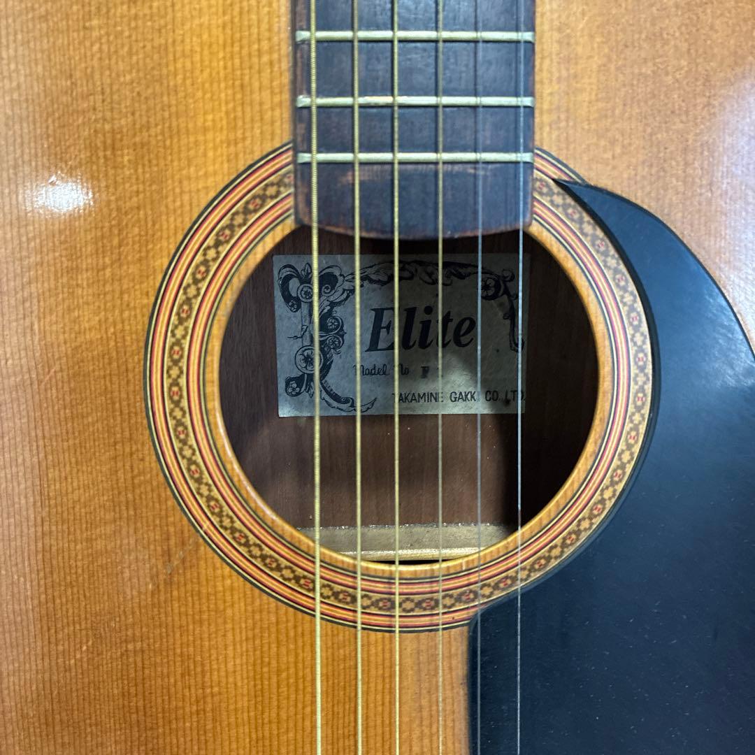 Elite アコースティックギター F1 ハードケース付