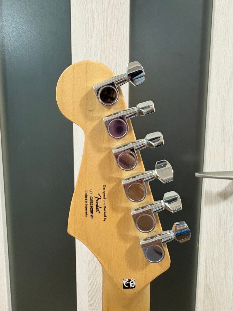 ピンク ストラトキャスター ギターケース ピック付き