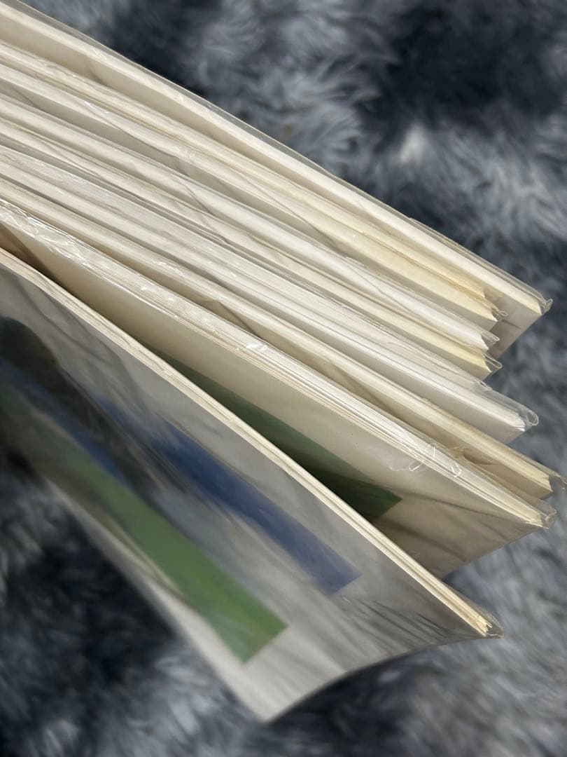 大量 まとめ スタジオジブリ 風の谷のナウシカ ミニポスター 10冊 約200枚