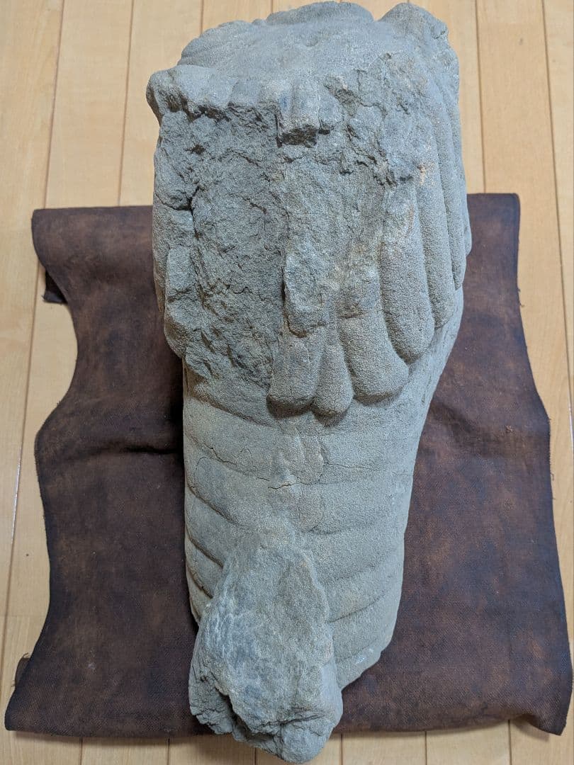 狛犬　古美術　仏教美術