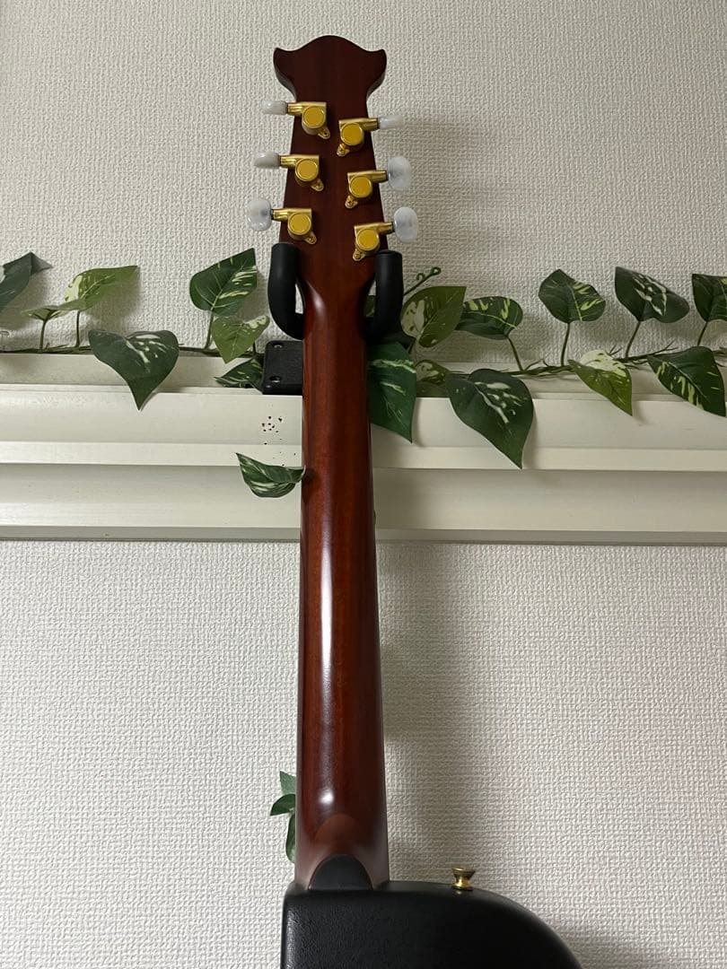 Morris モーリスTR701☆エレアコ オベーション タイプ Ovation