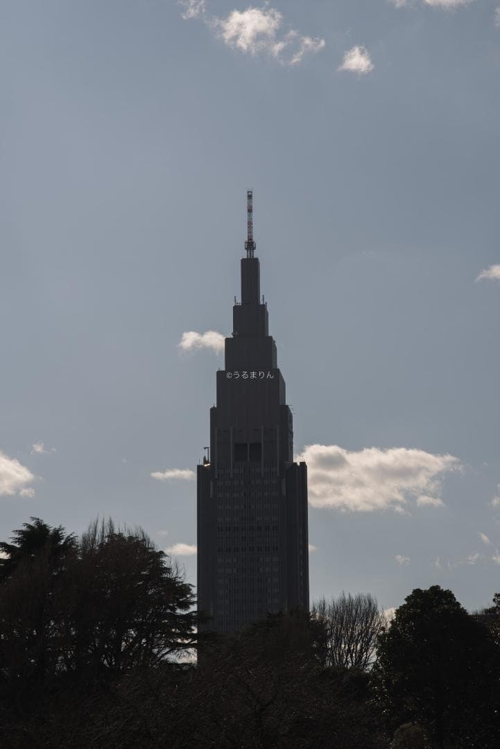 良品！CONTAX屈指の解像！SONNAR 85mm AEG オールドレンズ