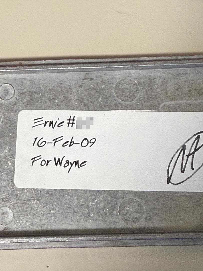 Skreddy Pedals Ernie　初期型 ★入手困難品★