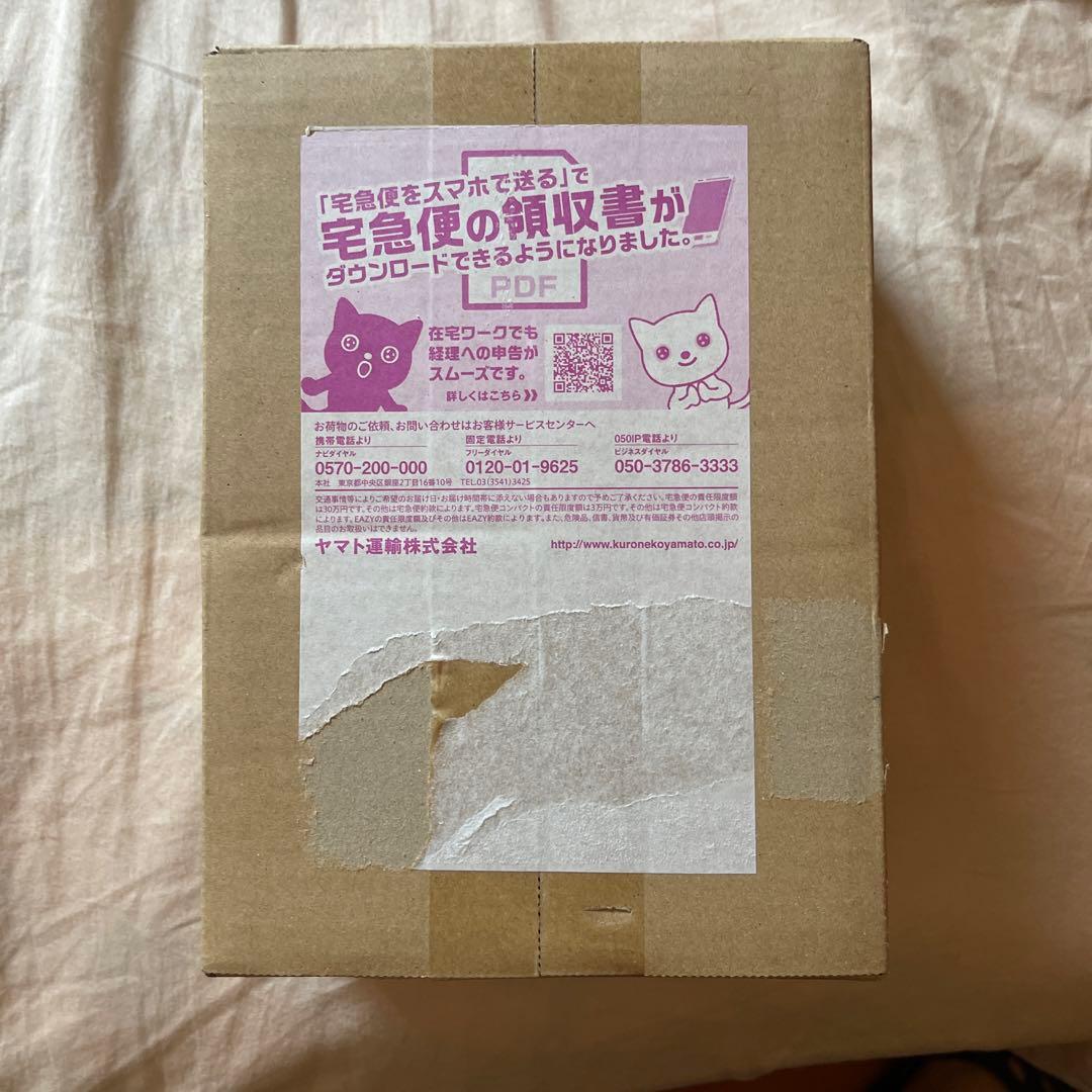 ポケモンカード　記念デッキ　ピカチュウ　横浜　ワールドチャンピオンシップ2023