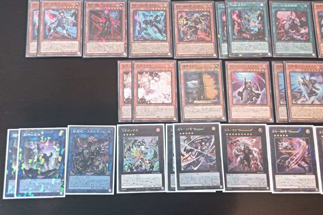 ■デッキ■ VSK9（K9VS）【大会・トーナメント構築】