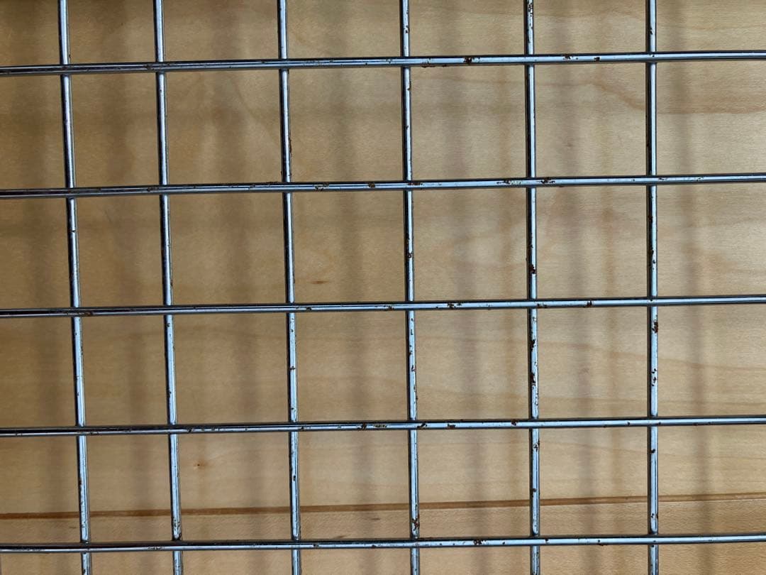 【直接引き取り可能な方向け値下】バリケンネル XL 室内利用のみ