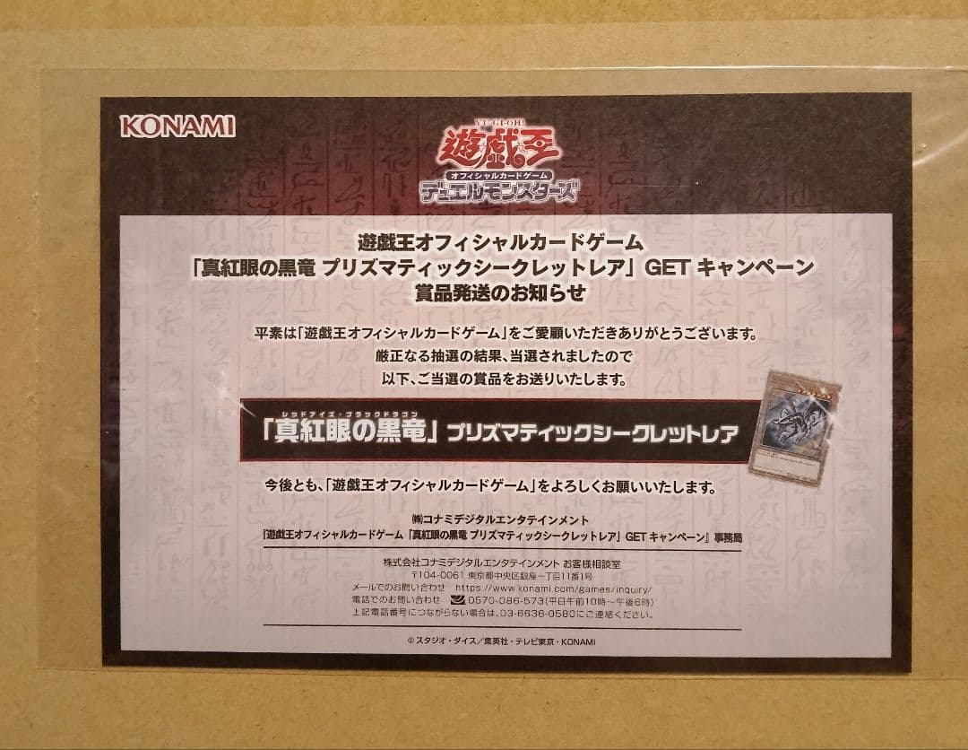 サ*リ様 PSA10　レッドアイズブラックドラゴン　プリズマ 真紅眼の黒竜　プリ