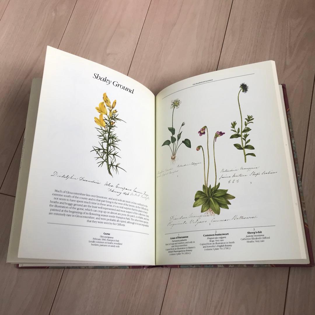 19世紀初頭の美しい植物画コレクション　ヴィンテージ本　古書 植物図鑑
